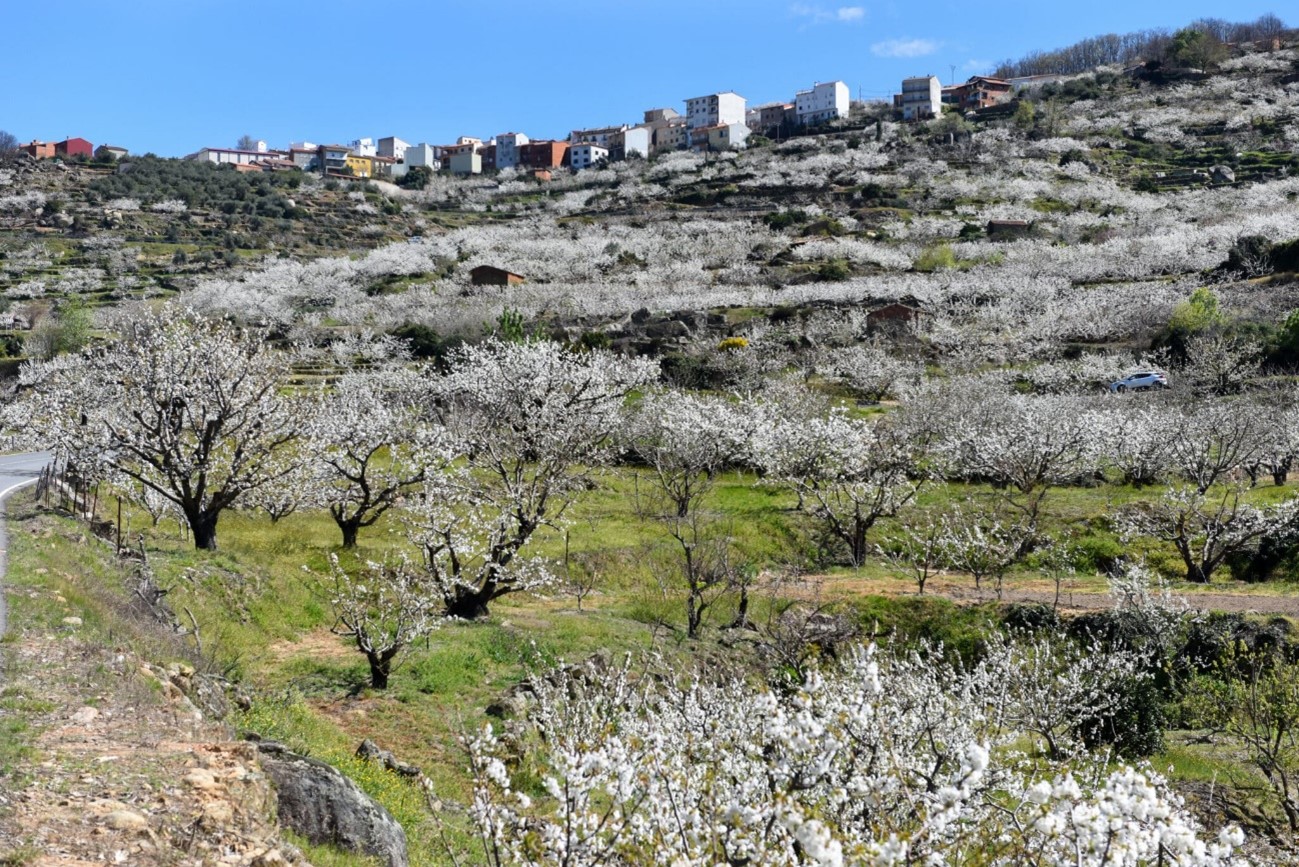 Extremadura i els carrers florits